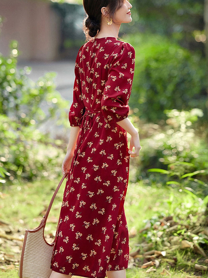 Hannah Elegant V-Neck Printed Dress