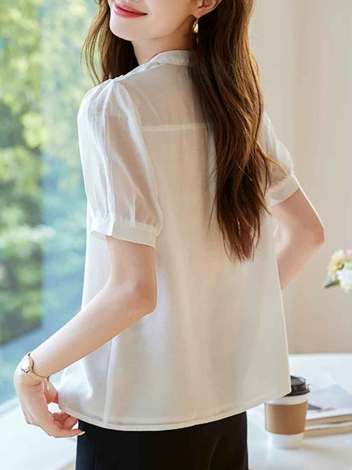 Kaylee Elegant V-Neck Puff Sleeve Embroidered Chiffon Top
